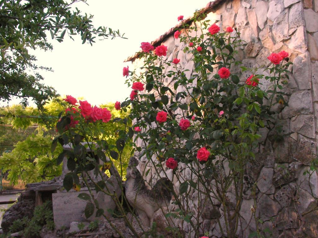 Agriturismo Valle Verde Altamura Kültér fotó