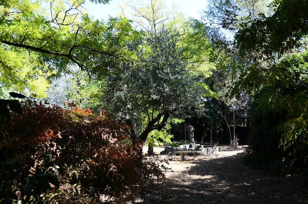 Agriturismo Valle Verde Altamura Kültér fotó